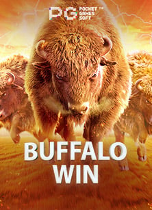 ทำไม ฝาก ถอน ts911 ถึงสนุกสนานมากกว่าที่คิด